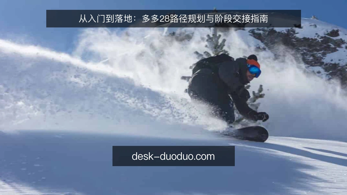 从入门到落地:多多28路径规划与阶段交接指南