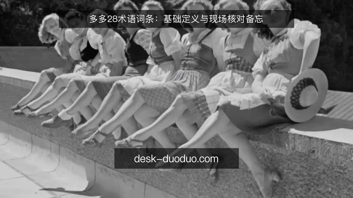 多多28术语词条:基础定义与现场核对备忘