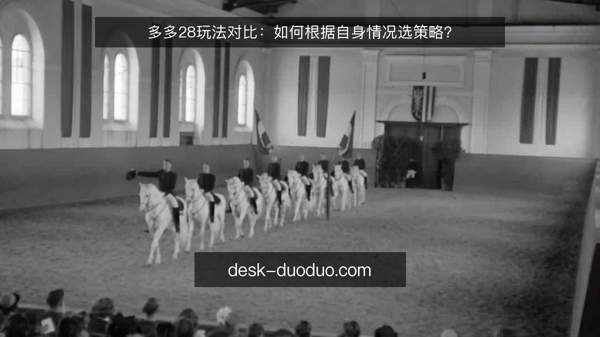 多多28玩法对比：如何根据自身情况选策略？