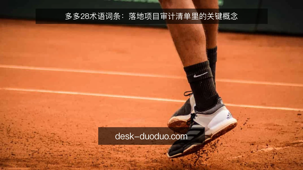 多多28术语词条:落地项目审计清单里的关键概念