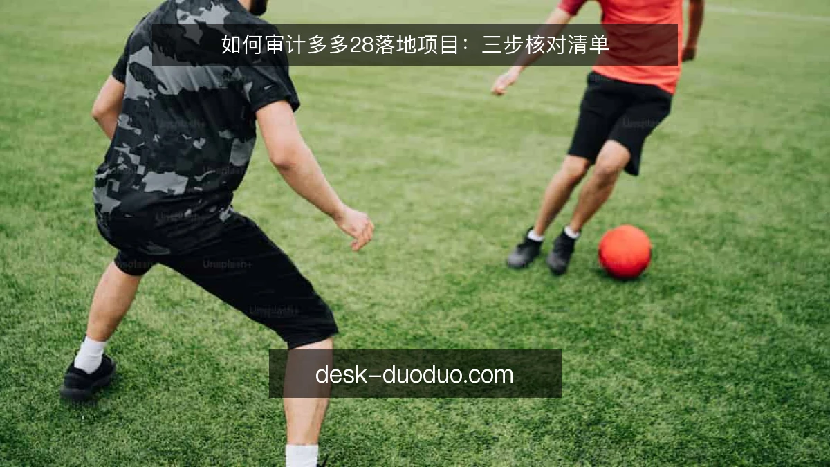 如何审计多多28落地项目：三步核对清单